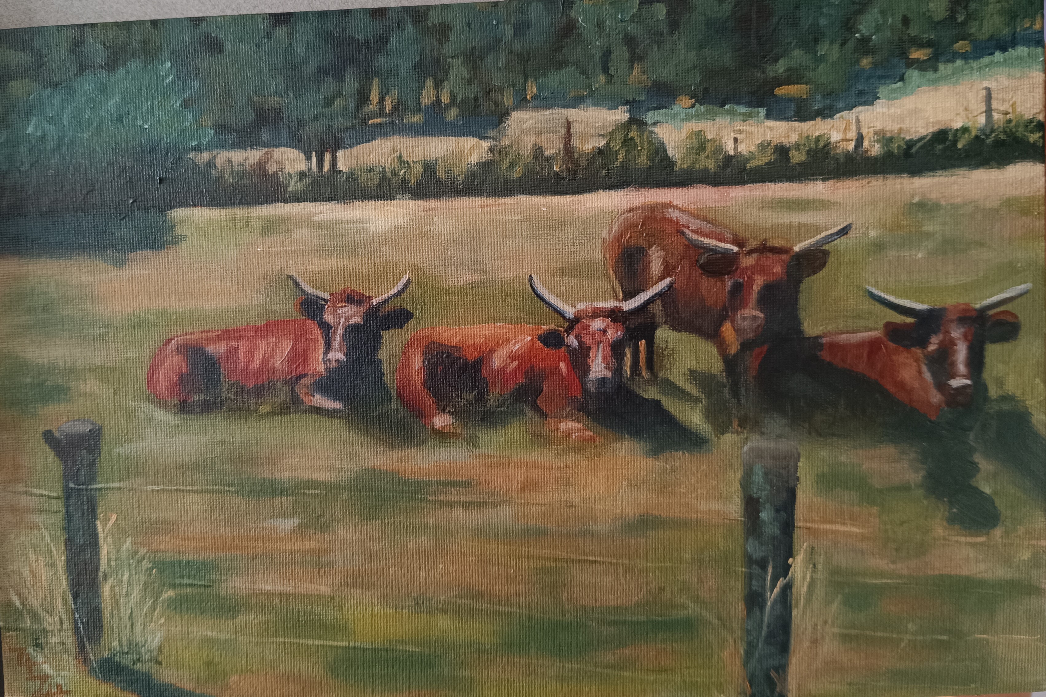 Vaches dans un pré